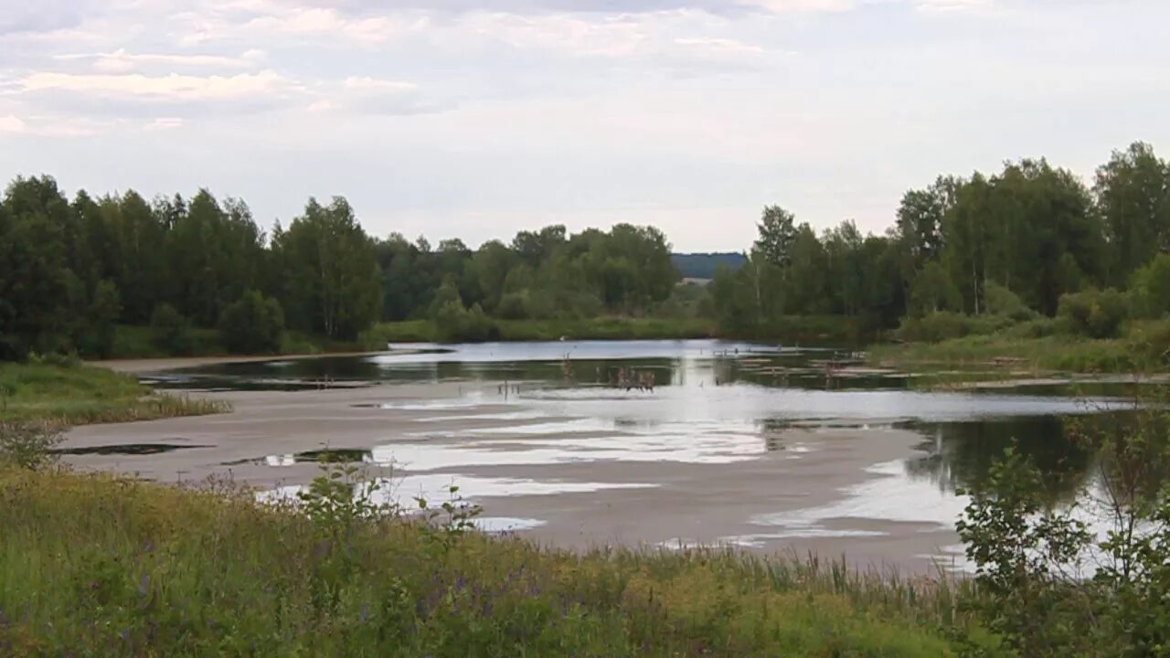 Поселок Октябрьский Кировская область Фаленский район. Село Святица Фаленский район Кировская область пруд. Река Святица Кировская область. Фаленки Кировская область реки.