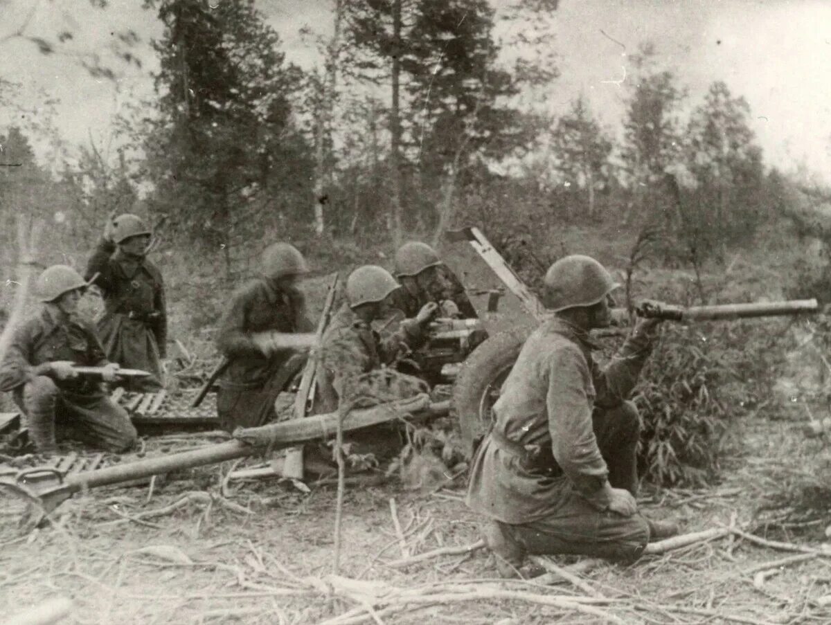 Старая Русса бои в годы войны. Бои под старой Руссой в 1942. Стрелковый полк РККА 1941. Стрелковый полк 1942.