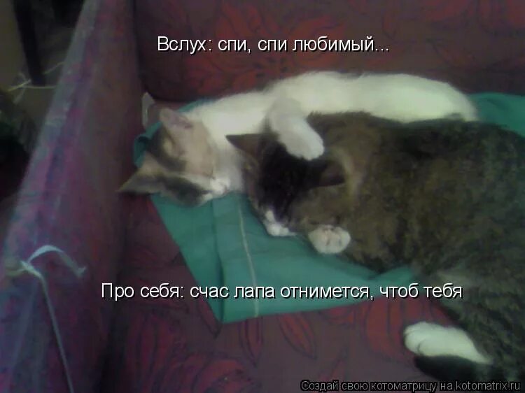 Как много лет во мне любовь спала текст песни. Песня люблю спи спи. И вся планета распахнулась для меня текст. Спи любимая стихи. Любовь настала текст песни.