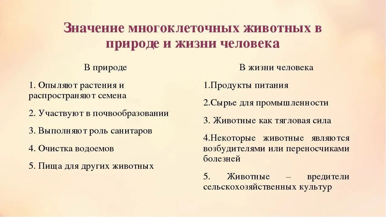 Значение животных в природе. Таблица значение животных в природе и жизни человека 6 класс. значение животных в природе и жизни человека 5 класс. значение животных в природе и жизни человека таблица. значение животных для человека.
