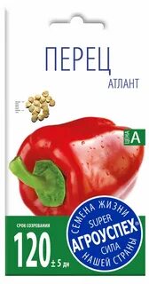 Перец атлант