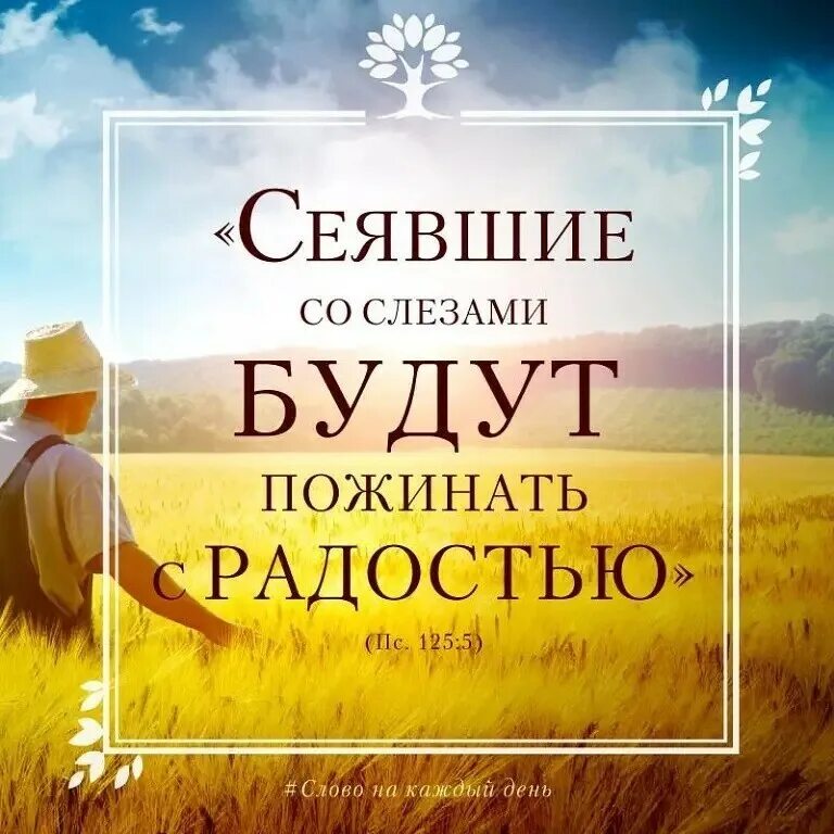 Господь удовольствие. Стихи из Библии на Жатву. Христианская радость. Сеявшие со слезами будут пожинать с радостью. Сеющие со слезами будут пожинать с радостью Библия.