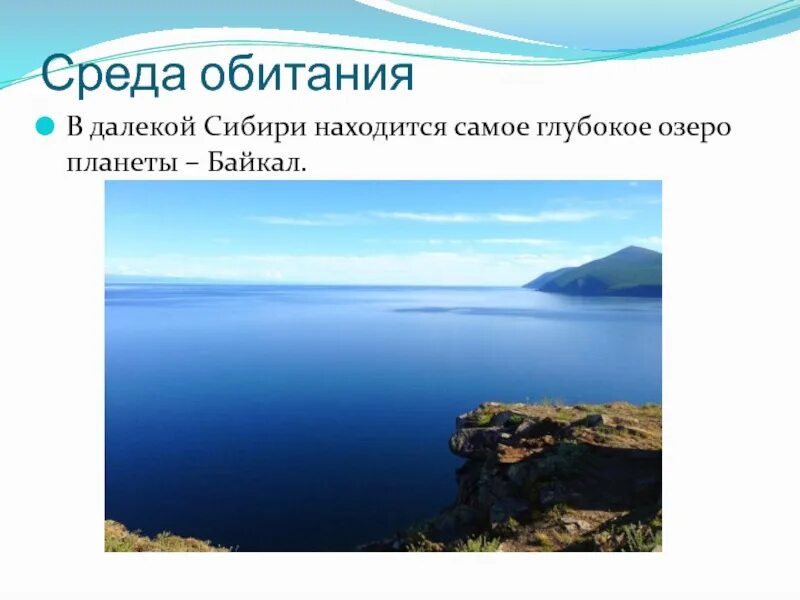 Озеро байкал 3 класс окружающий мир. Проект про Байкал 3 класс. Озеро Байкал окружающий мир 3 класс. Презентация Байкал 3 класс окружающий мир. Презентация на тему озеро Байкал 3 класс.