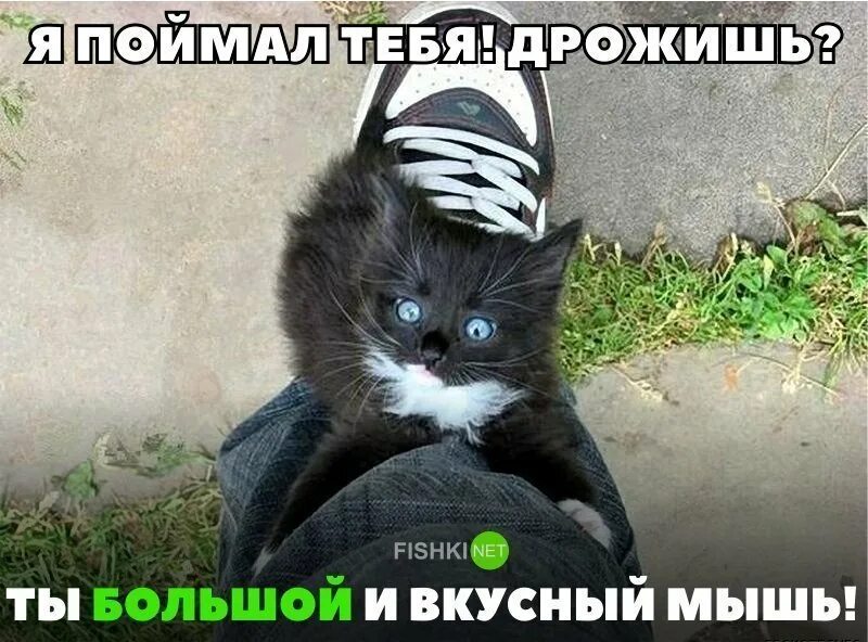 Почему меня трясет