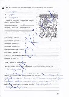 Биология 8 класс стр 53