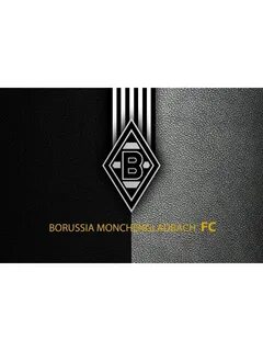 Футбольный клуб боруссия менхенгладбах