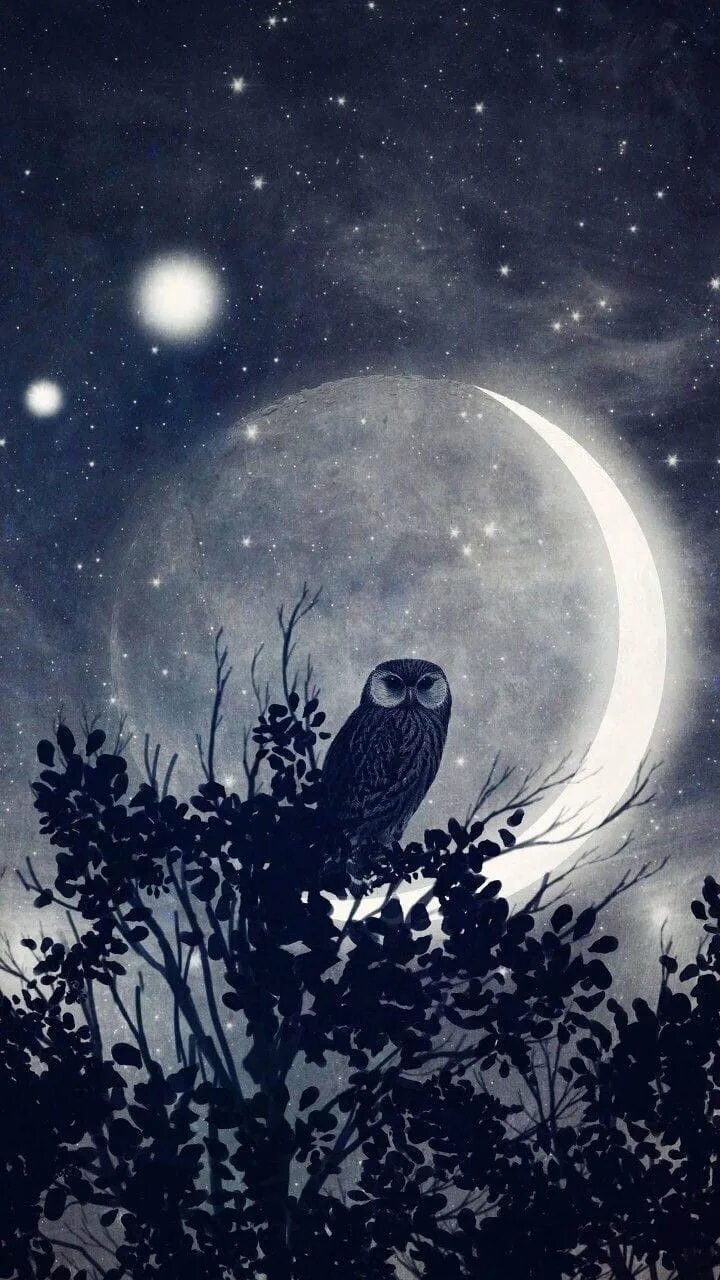 Ночные совы и летнее небо читать. Ночная Сова.(Night Owl).1993. Ночь Луна. Ночь Луна Сова. Мистическое полнолуние.