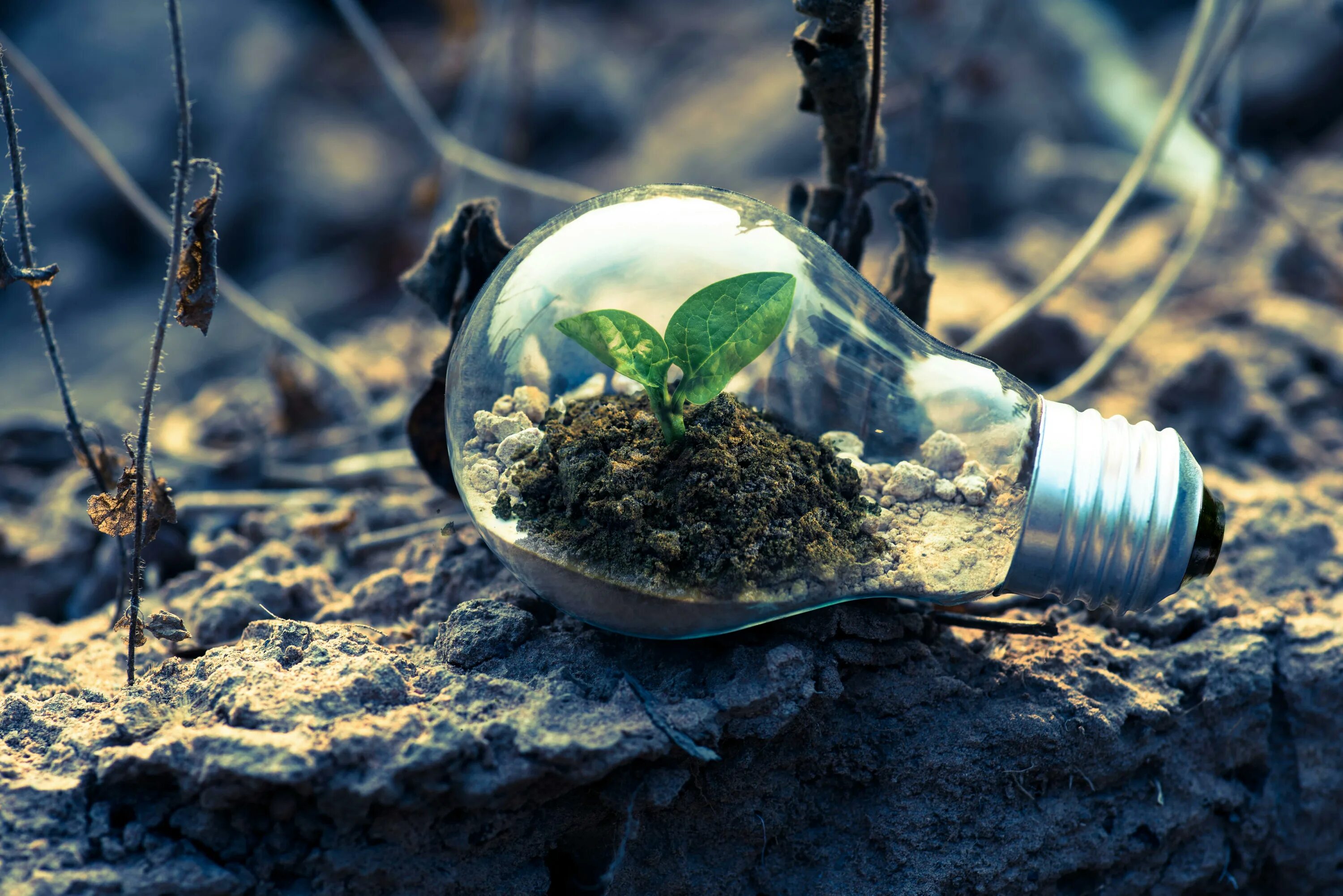 Improving the environment