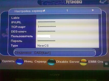 Сат сат транспондерные новости