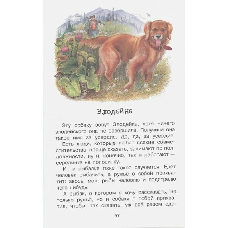 Конь с розовой гривой. Книга Астафьева конь с розовой гривой. Сколько страниц в рассказе Астафьева конь с розовой гривой. Астафьев конь с розовой гривой сколько страниц.