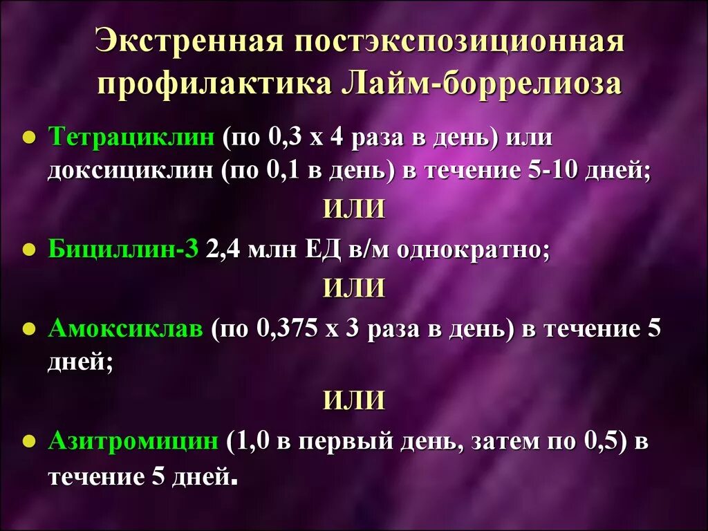Азитромицин при укусе клеща