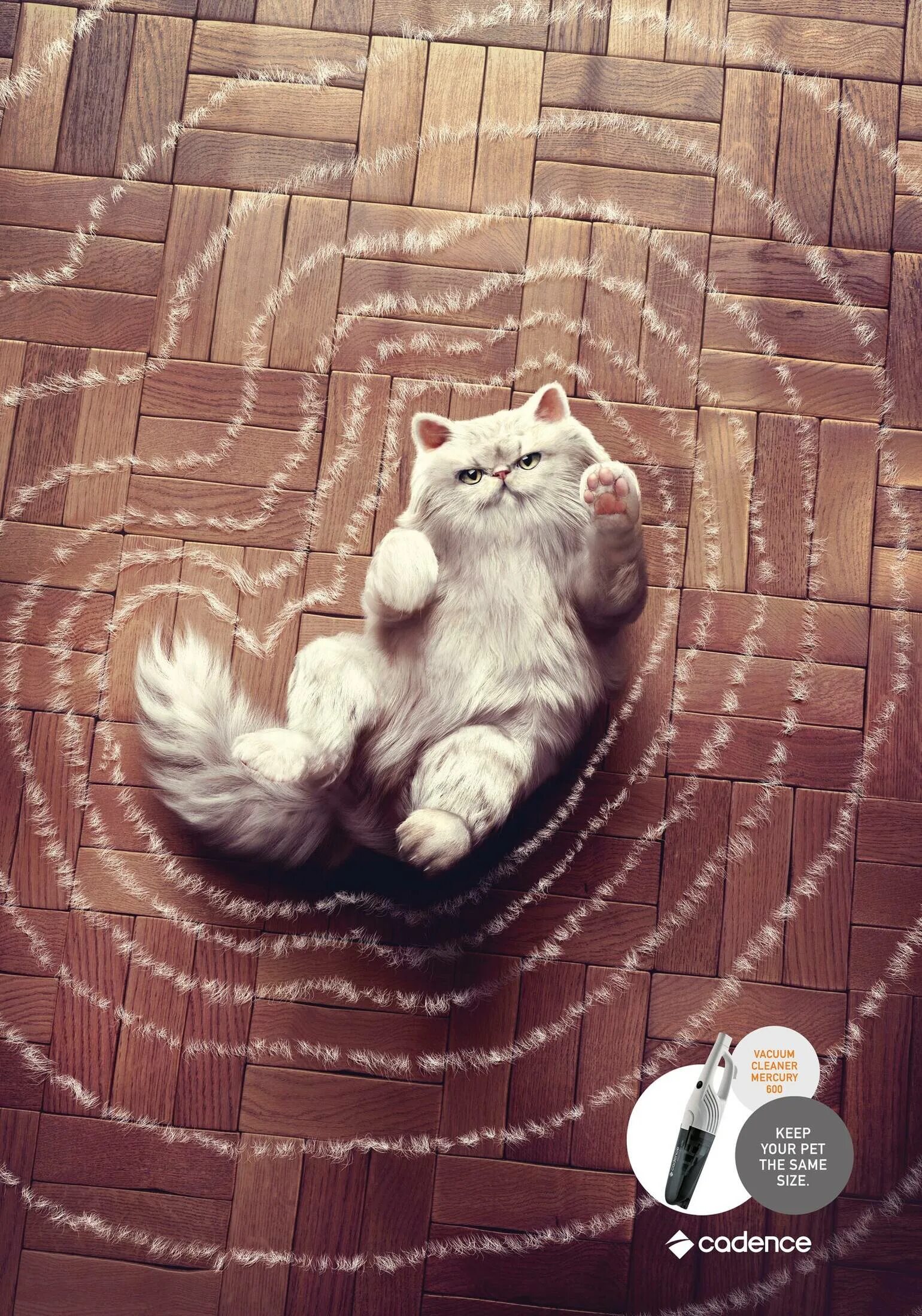 Реклама кошачьего. Креативная реклама с кошками. креативные кошки. рекламные креативы с котиками. рекламные постеры с котами.