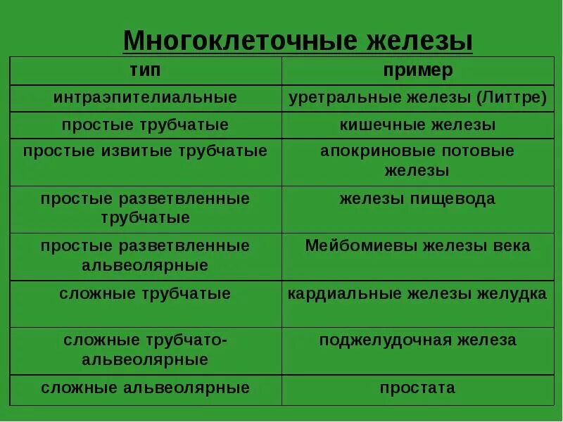 Пара зеленых желез Shtampik.com