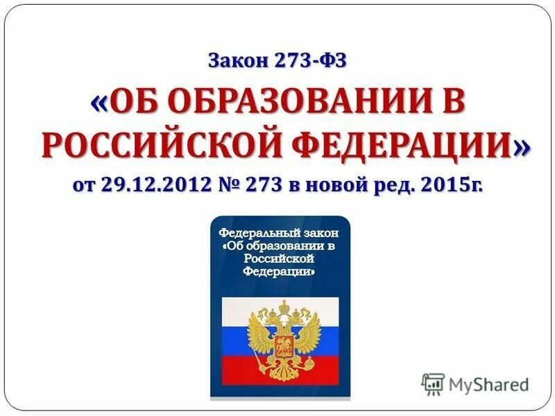 Фз 273 комментарии