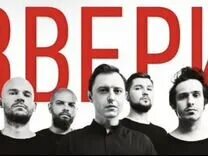 26 апреля звери. Группа звери.