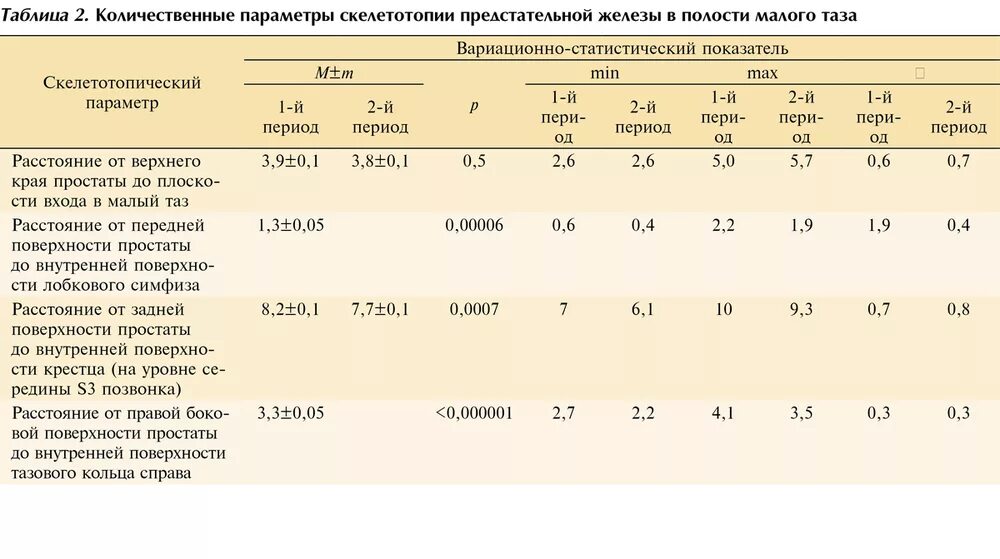 Возрастные нормы объема предстательной железы. Объем предстательной железы в норме по УЗИ. Предстательная железа в норме в 70 лет. Размеры предстательной железы в норме. Показатели предстательной железы