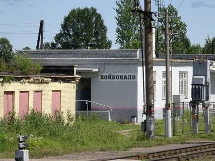 Войбокало рыбацкое