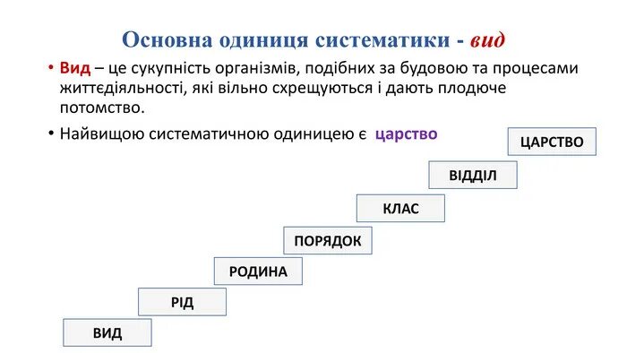 Найвища одиниця класифікації. Впорядкуйте систематичні одиниці від найбільшої до найменшої.. Основна одиниця мови. Життєдіяльність організмів це.