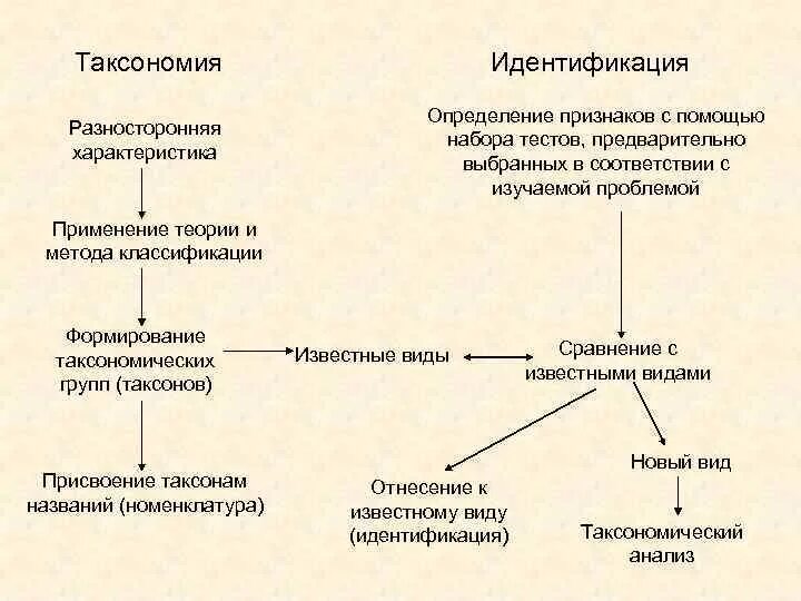 Таксономия определение. Таксономические категории микроорганизмов схема. таксономия бактерий таблица. таксономические категории бактерий. систематика таксонов микроорганизмов.