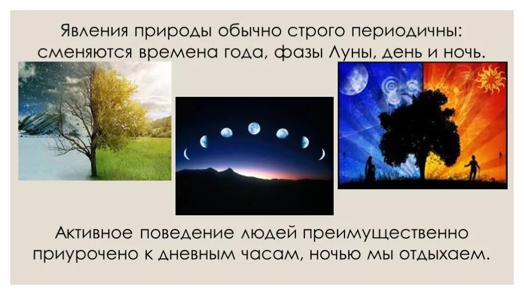 Годовой ритм природных явлений выражен в. Ритмичность сменяются день и ночь. что означает день и ночь. периодичность в природе. ночью эти явления.