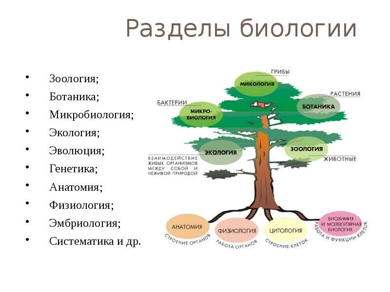 Как называется наука изучающая взаимодействие