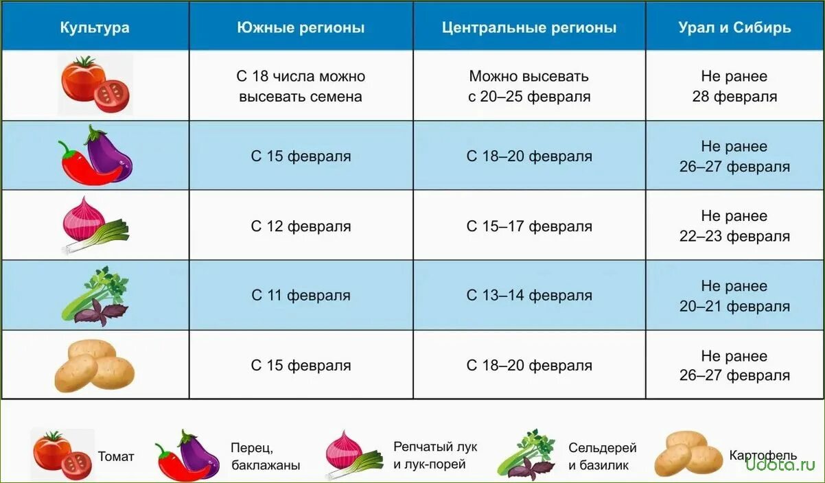 Сроки высадки семян на рассаду. Числа посева семян помидоры на рассаду. Календарь посева рассады. Дата посадки перца на рассаду.