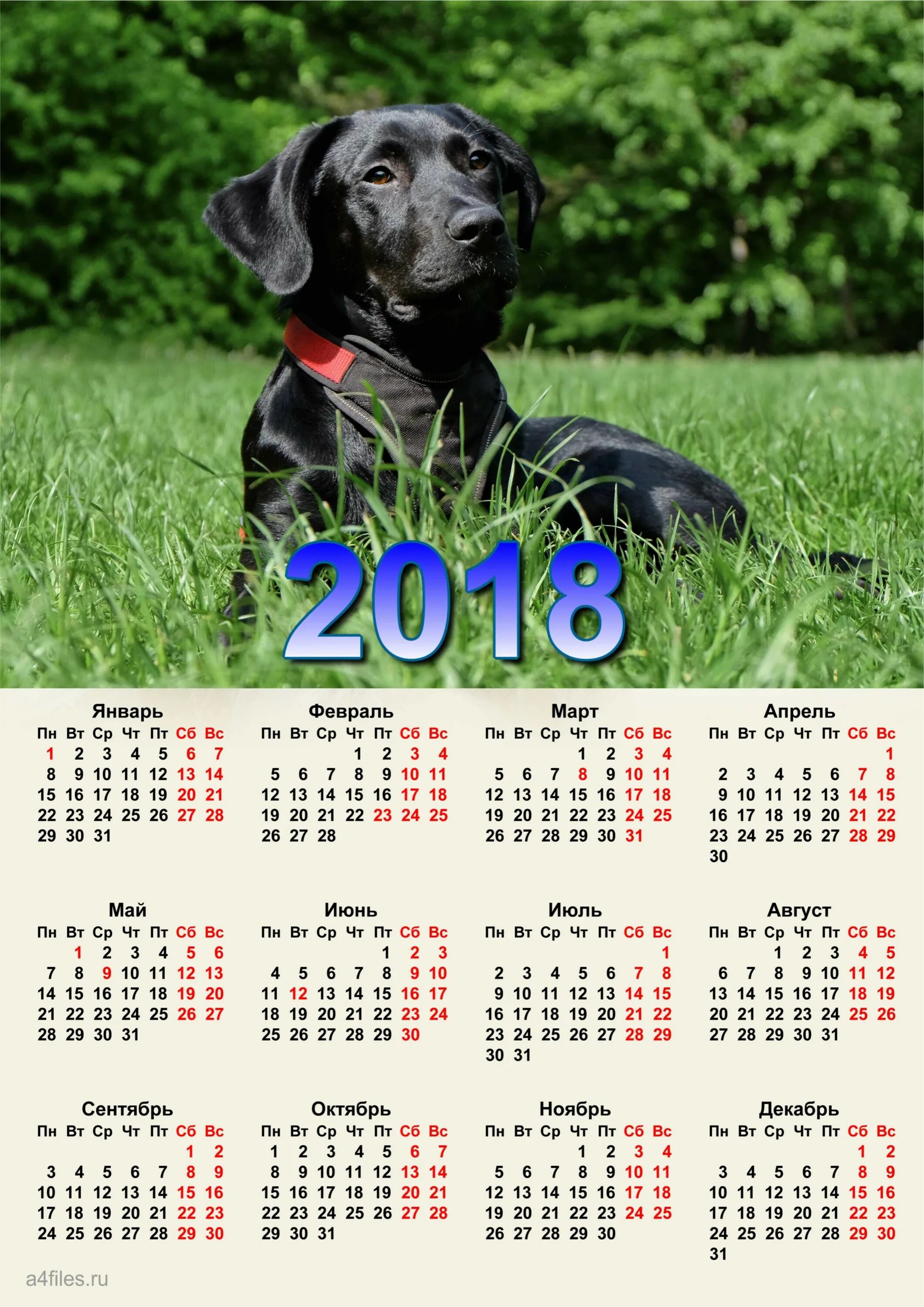 Календарь 2018. Календарь собака. Календарик 2018. 2018 Год календарь год. По какому календарю 2018