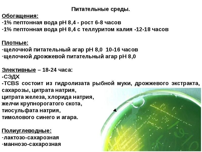 Холера питательные среды. Питательные среды обогащения. Среды обогащения микробиология. Обогатительные питательные среды. Пептонная вода среда.