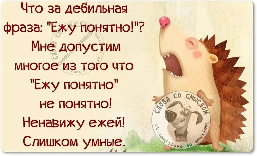 Не смешные выражения. Веселые цитаты. прикольные афоризмы в картинках. забавные высказывания. смешные цитаты со смыслом.