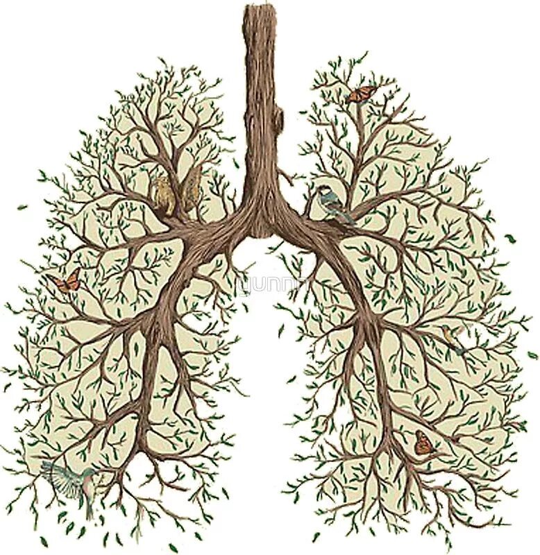 Дерево легкие города. Легкие в виде дерева. Дерево в виде легких. Дерево в виде легких человек. Бронхиальное дерево.