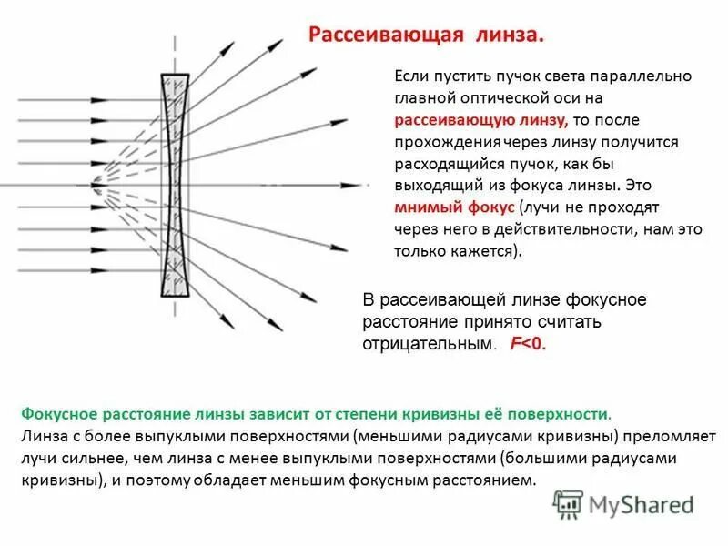 Отражается какой вид. Отражается какой вид