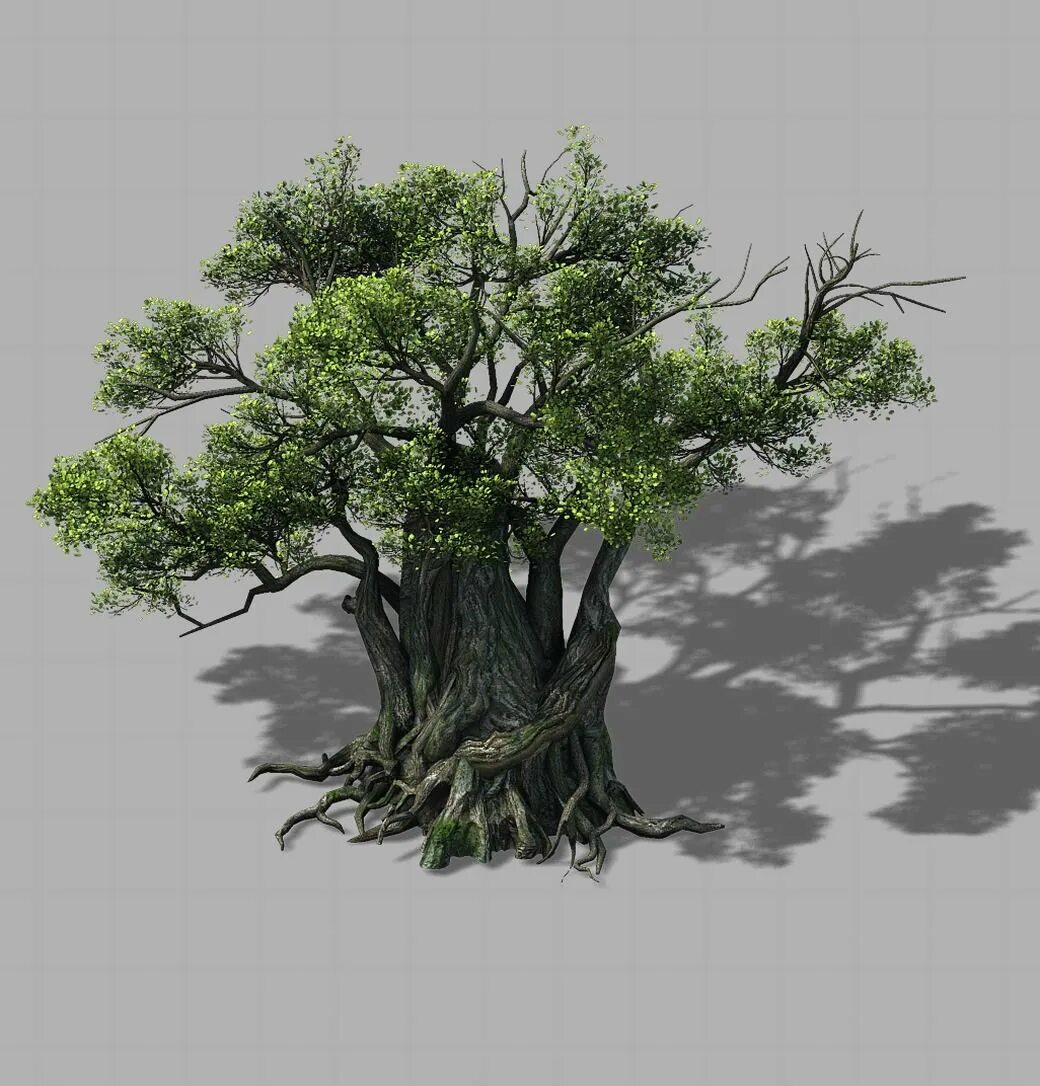 Tree 3ds Max. Trees for 3ds Max. Дерево 3д модель. Зд модель дерева. Дерево в 3 d