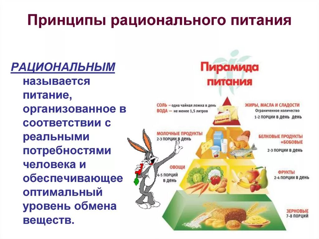 Сформулировать принципы рационального питания. Основные принципы сбалансированного рационального питания. Принципы рационального пит. Принципы рациональногоп питания. Компании сбалансированного питания