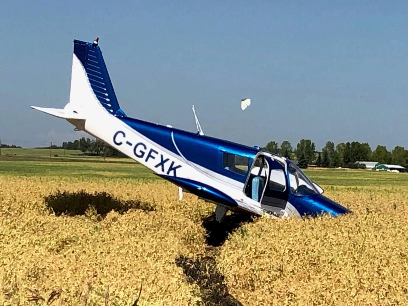 Легкие самолеты российского производства. Цессна 310. Самолёт цикада м. Бу авиация. Самолет 2 местный.