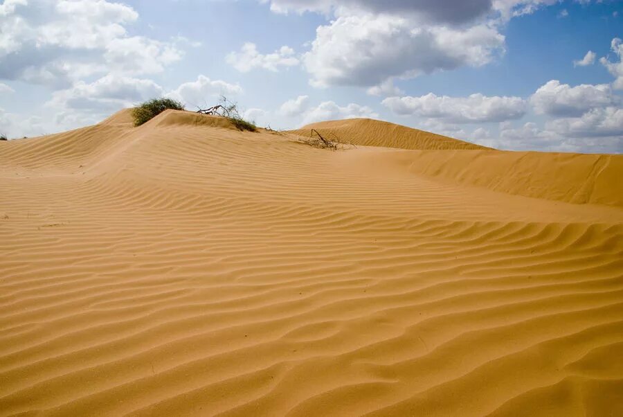 прикаспийская низменность пустыня. прикаспийская низменность пустыня. прикаспийская низменность пустыня. прикаспийская полупустыня. астрахань полупустыня.