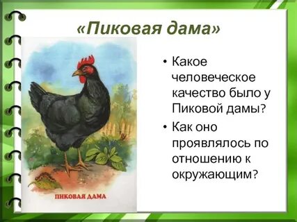 Куры пересказ