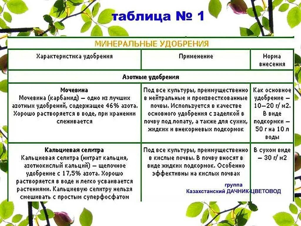 Чем подкормить смородину во время цветения