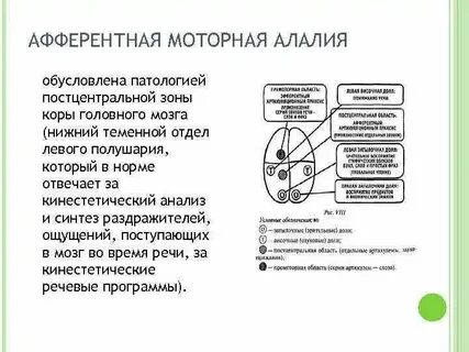 Механизм сенсорной алалии
