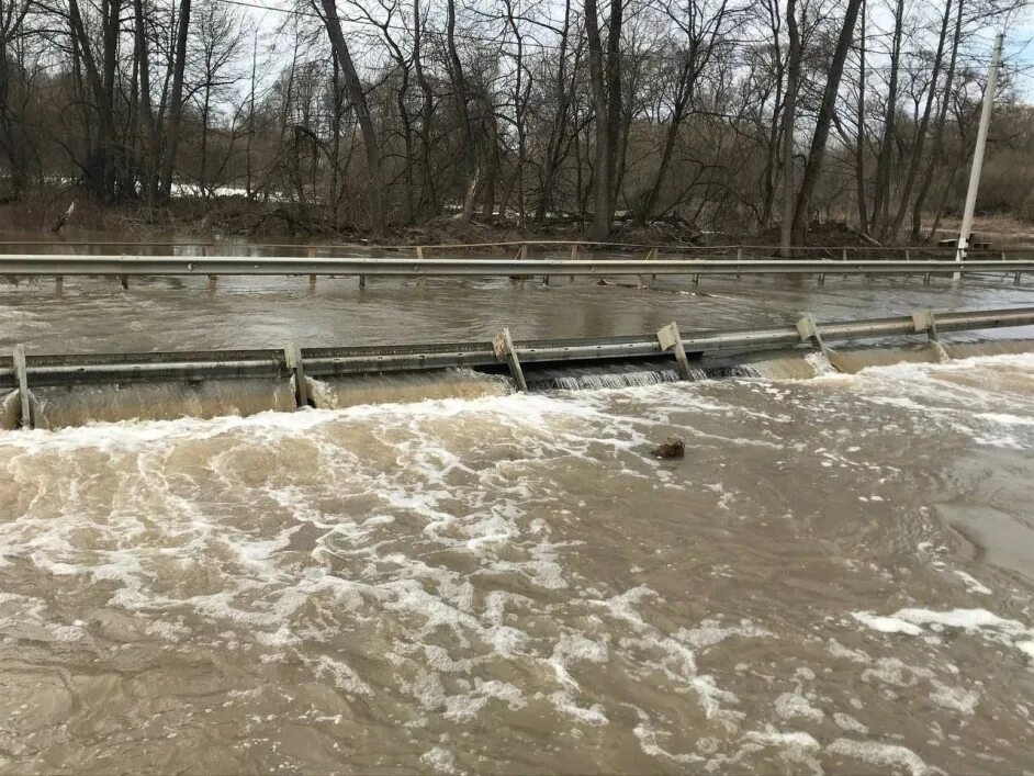 Уровень воды в реках калуги. Река Протва потоп. Река Прогнанка Калужская область. Наводнение река Протва. Разлив реки Протва.