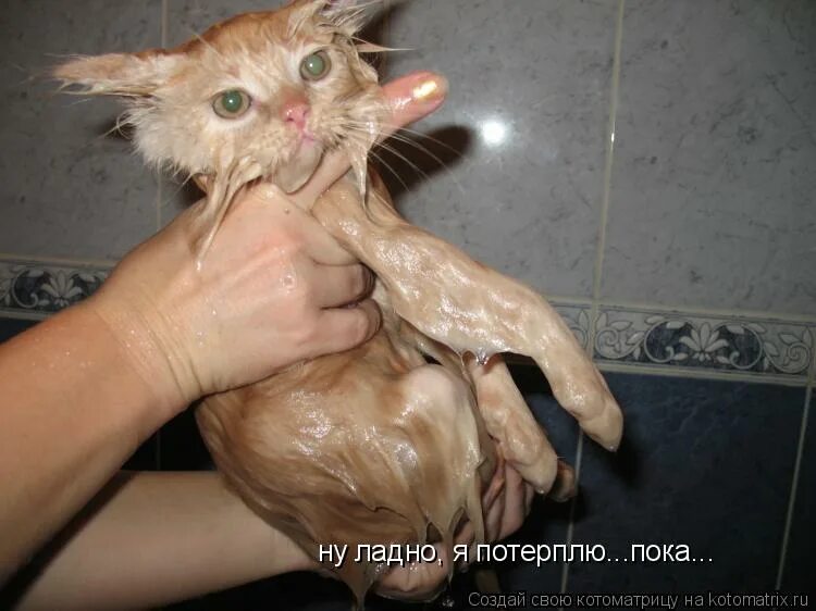 Чтобы не было мокрым