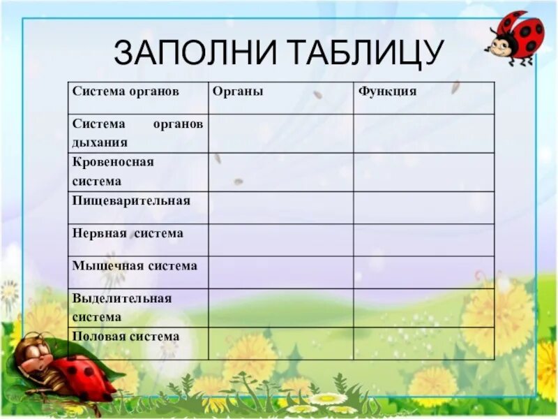 Презентация к уроку : "Насекомые"
