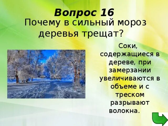 Почему дерево трещит\. Деревья трещат от Мороза. Почему при сильном морозе деревья трещат. Стихи про сильный Мороз.