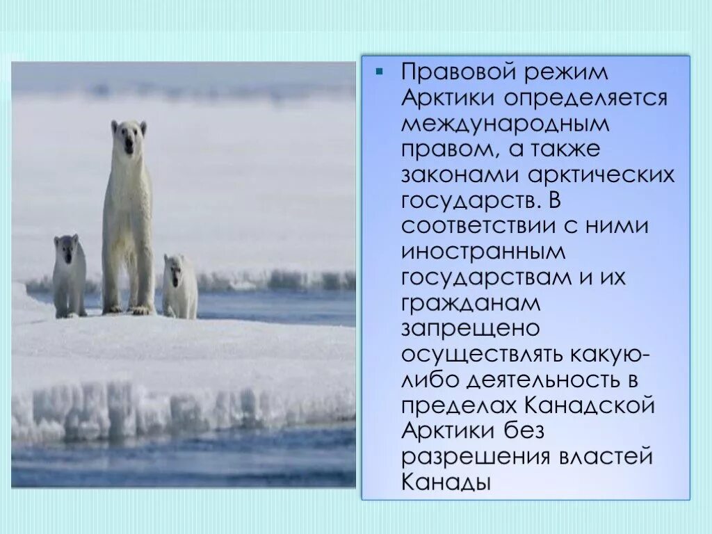 Арктический полярный сектор это. Правовой режим арктики и антарктики международное право. Правовой режим арктики международное право. Арктика международный режим. Правовой режим арктики.