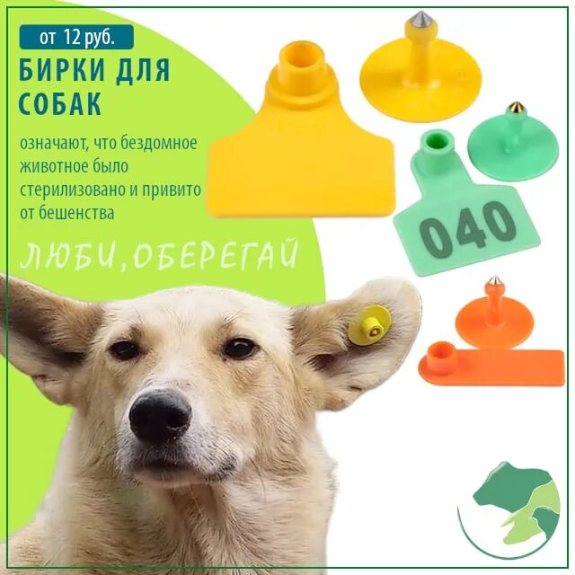 Ушные бирки для собак. Бирка для собак