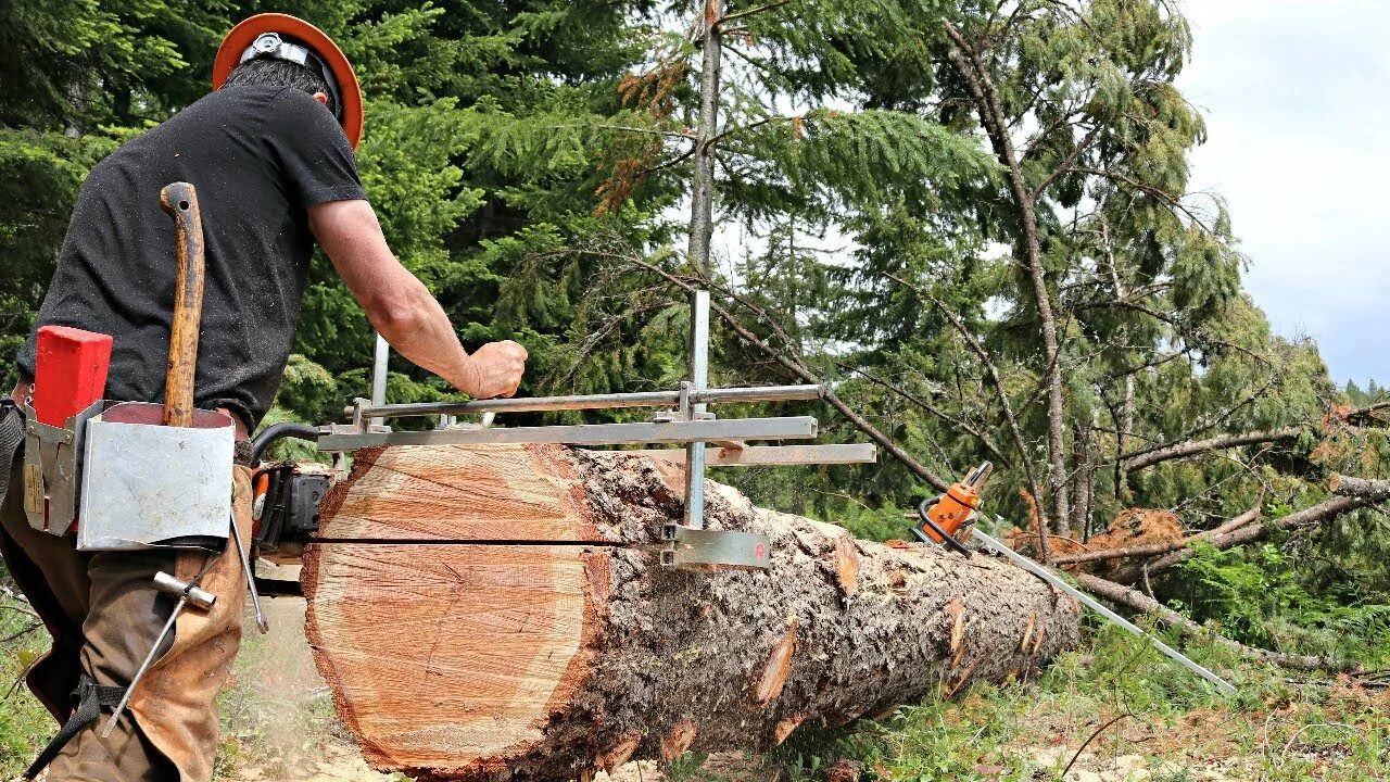 Распиливание бревна. Пилорама granberg. пилорама миллс. распил бревна бензопилой. распилка дерева.