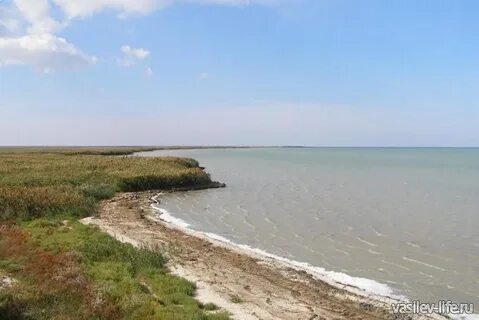 Азовское море соль