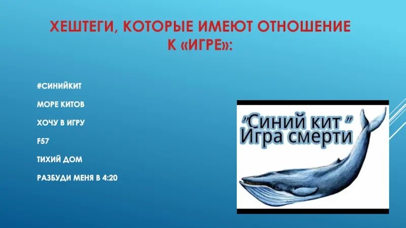 Физиологические признаки синего кита. Синий кит. Синий кит хештеги. Кит синий кит.