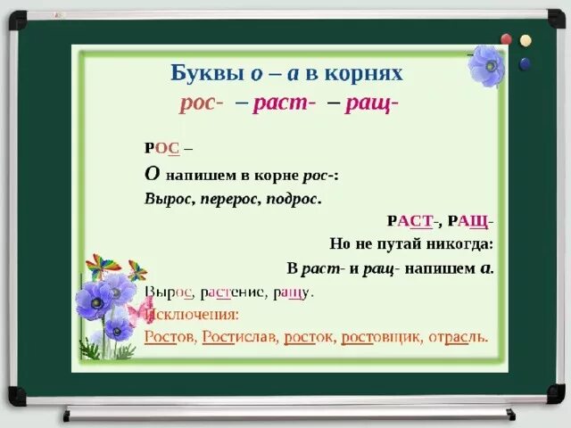 Предложение с корнем раст. Слова с корнем раст рос. Буквы а о в корне раст рос примеры. Корень раст рост.