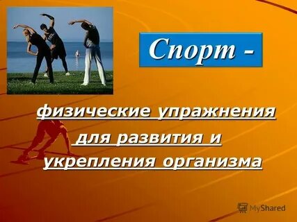 Большое слово в спорте