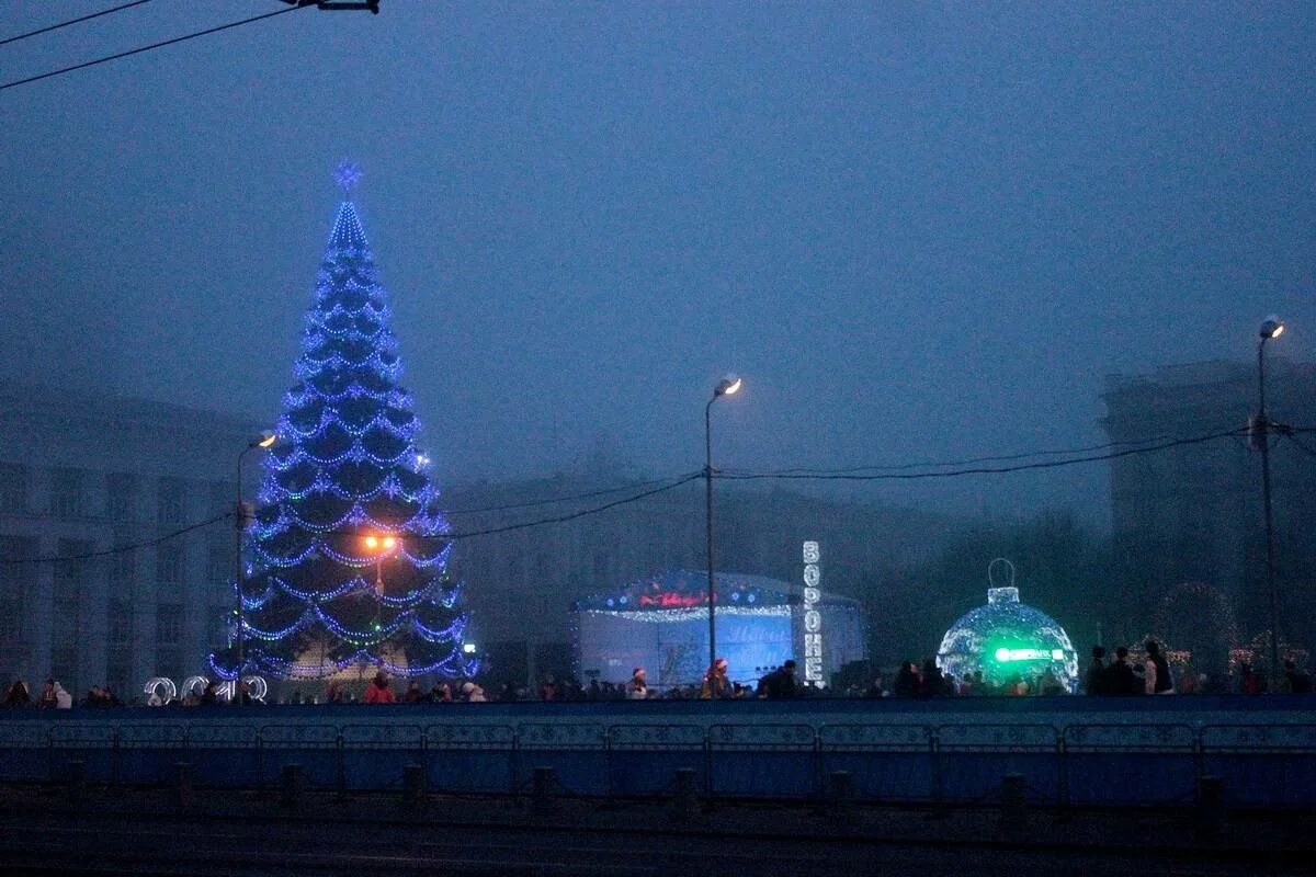 Елка на площади воронеж до какого числа. Городская елка в воронеже. елка на площади ленина воронеж. городская елка воронеж фото. фото зимнего воронежа елка.